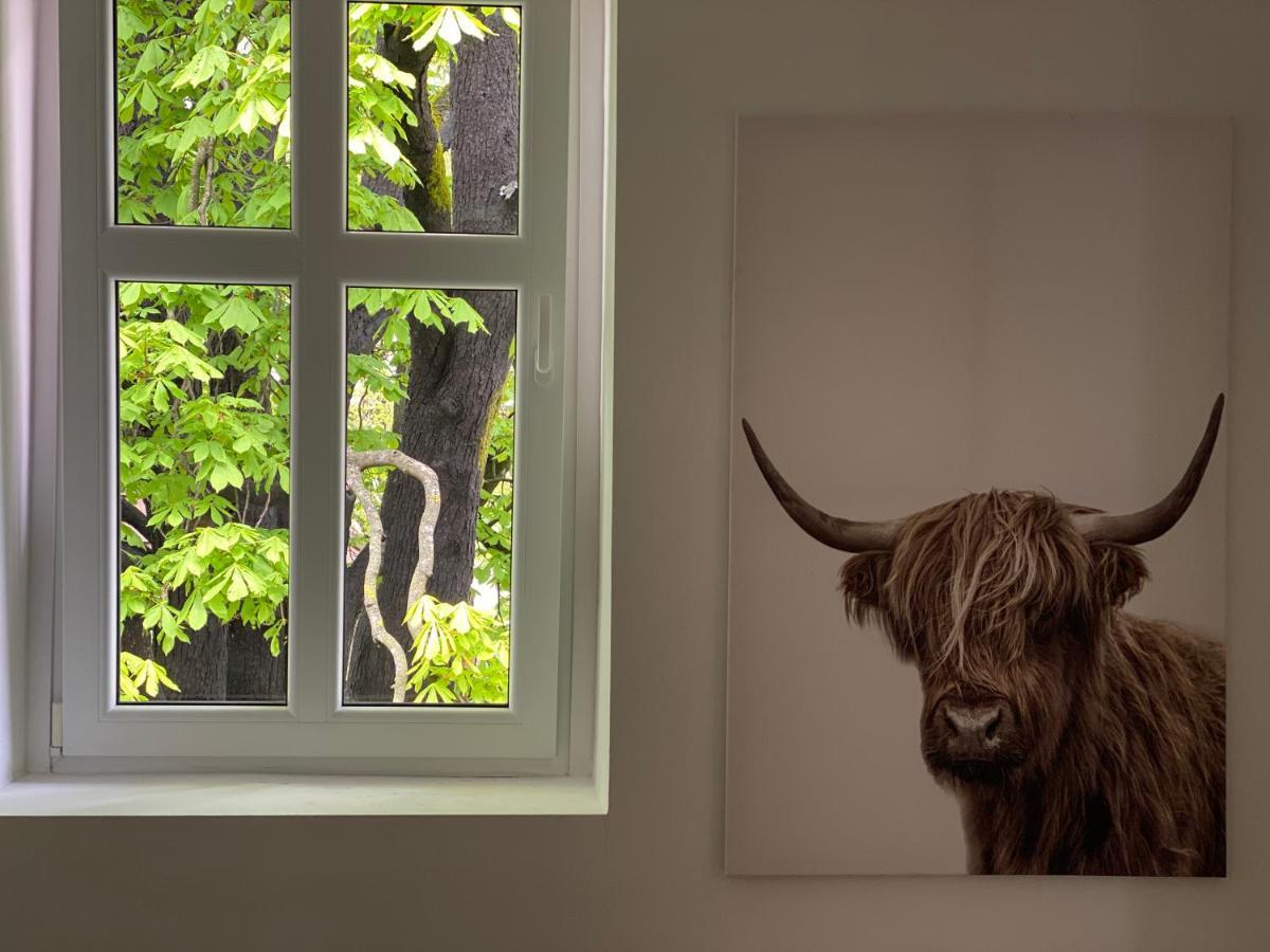 Green Corner Of Bovec - Apartment โบเว็ก ภายนอก รูปภาพ